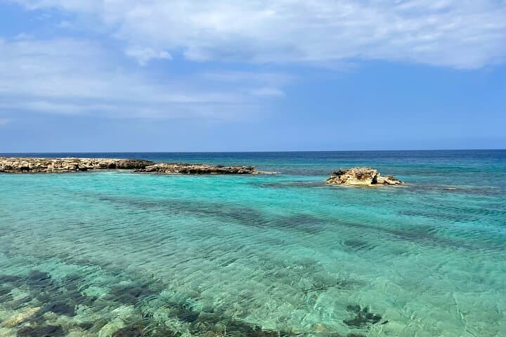 Snorkel with Sea Turtles in Protaras: Guided Marine-Biologist Tours photo 2