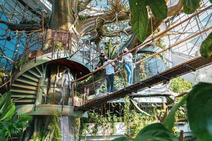 Inside The Green Planet Dubai: Dubai’s Four-Level Indoor Rainforest Experience photo 2