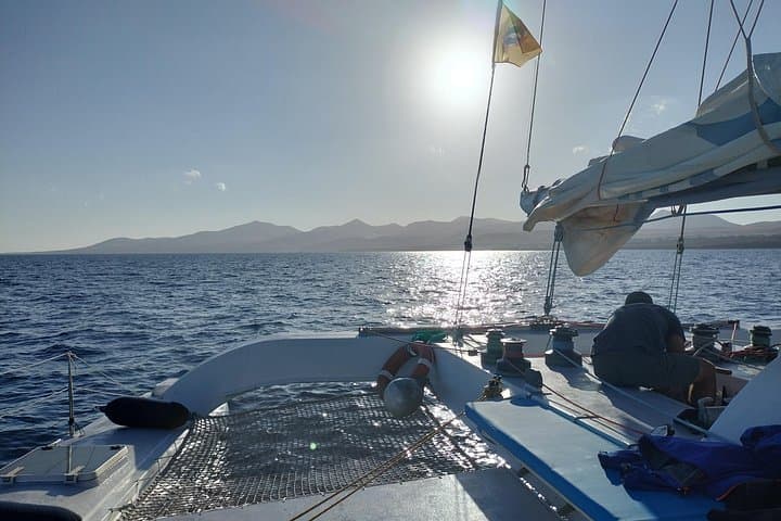 Electric Sunset Dolphin Tour from Puerto Calero — Eco Catamaran Cruise photo 4