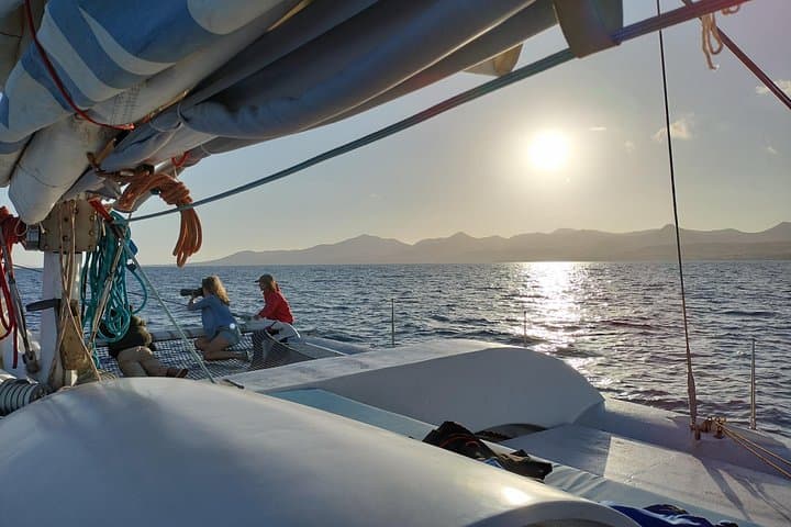 Electric Sunset Dolphin Tour from Puerto Calero — Eco Catamaran Cruise photo 3