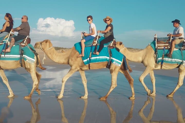6-Day Golden Triangle with Pushkar — Delhi, Agra, Jaipur & Holy Pushkar Tour photo 6