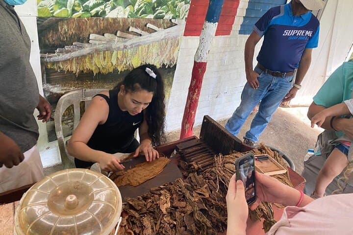Punta Cana Safari: Full-Day Guided Cultural & Macao Beach Adventure photo 3