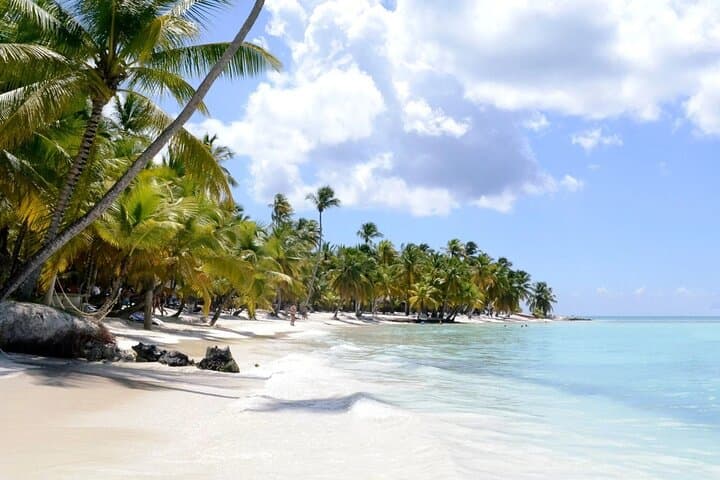 Punta Cana Safari: Full-Day Guided Cultural & Macao Beach Adventure photo 6