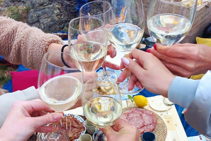 Exclusive Alpine Foothills Picnic with Panoramic Lake Como Views photo 6