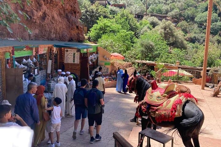 Day Trip to Ouzoud Waterfalls from Marrakech — 110m Cascades Guide photo 2