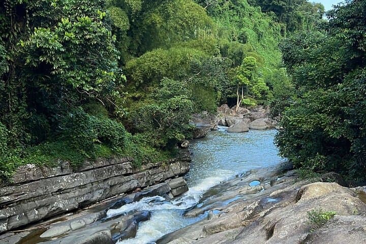 El Yunque Waterfall Slides & Luquillo Beach — Rainforest Adventure with Drinks photo 4