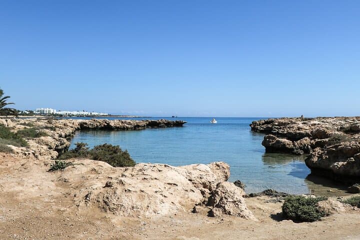 Snorkel with Sea Turtles in Protaras: Guided Marine-Biologist Tours photo 4
