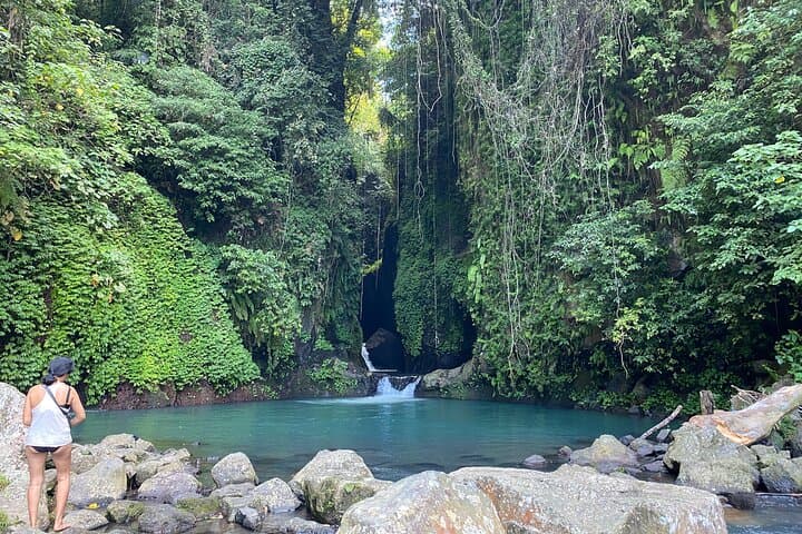 Turquoise Oasis & Aling Aling Waterfall Private Day Trip from Ubud photo 4
