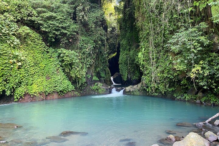 Turquoise Oasis & Aling Aling Waterfall Private Day Trip from Ubud photo 5