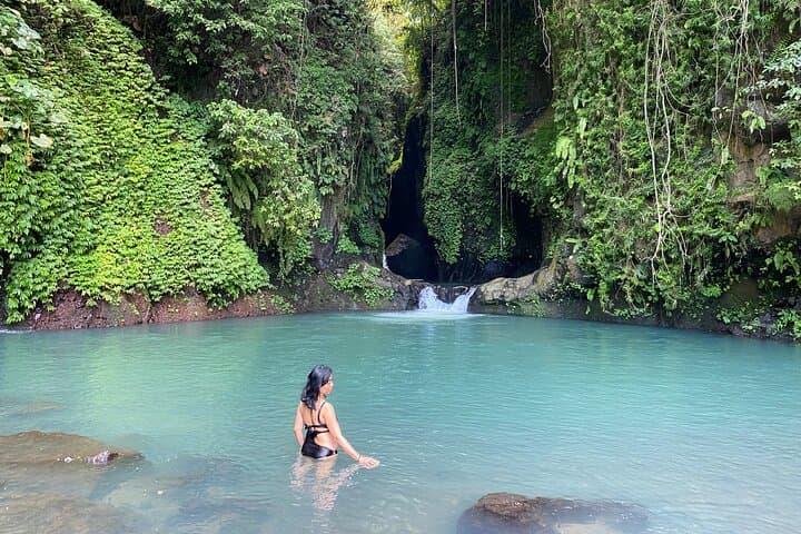 Turquoise Oasis & Aling Aling Waterfall Private Day Trip from Ubud photo 2