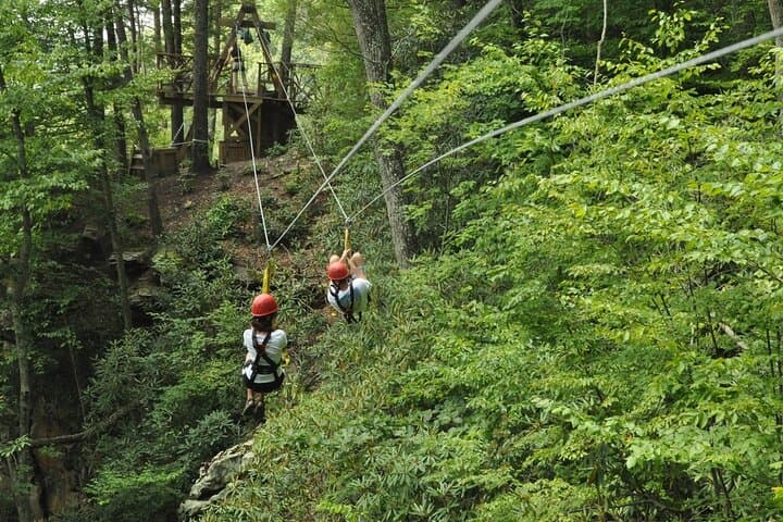 Soar Above Punta Cana: Zipline Through Tropical Jungle and River Valleys photo 3