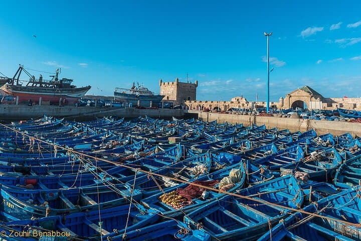 Luxury Day Trip to Essaouira: Seafood, Argan Co‑ops & Atlantic Winds photo 6