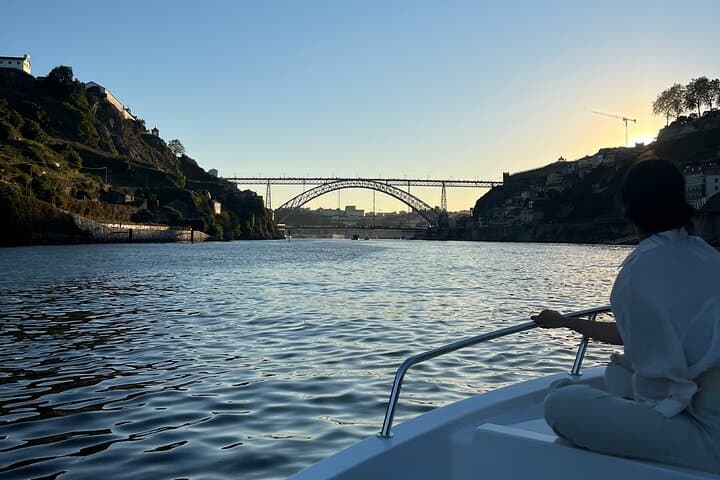 Private 2-Hour Douro River Cruise from Porto — Marina do Freixo to Foz do Douro photo 4