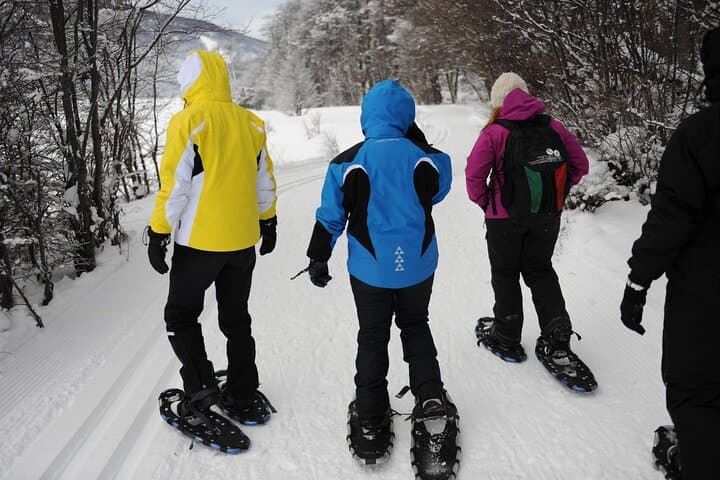Ushuaia Husky Sled & Snowshoe Adventure to Alvear Icefall photo 2