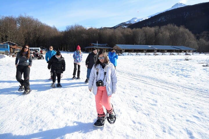 Ushuaia Husky Sled & Snowshoe Adventure to Alvear Icefall photo 3