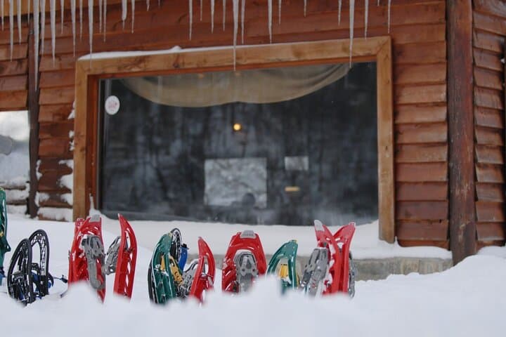 Ushuaia Husky Sled & Snowshoe Adventure to Alvear Icefall photo 4