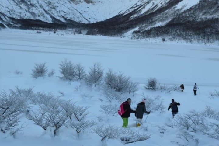 Ushuaia Husky Sled & Snowshoe Adventure to Alvear Icefall photo 5
