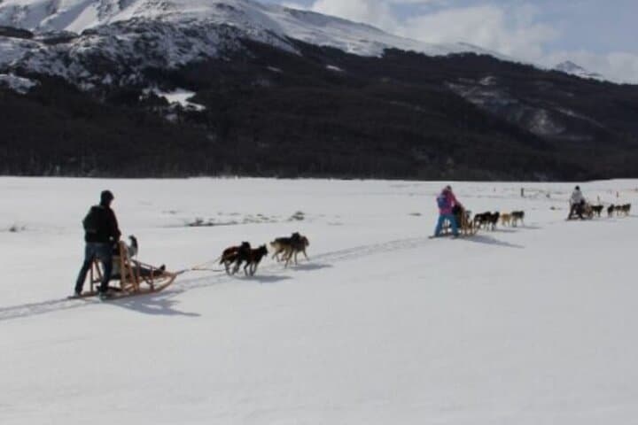 Ushuaia Husky Sled & Snowshoe Adventure to Alvear Icefall photo 6