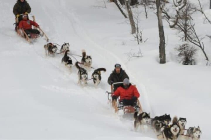 Ushuaia Husky Sled & Snowshoe Adventure to Alvear Icefall