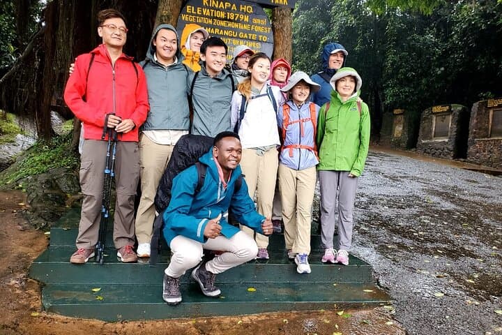 Private Day Hike on Kilimanjaro’s Marangu Route to Mandara Hut