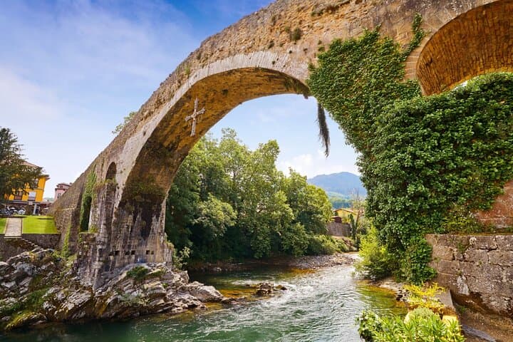 Full-Day Picos de Europa Private Nature Tour from Cangas de Onís photo 2
