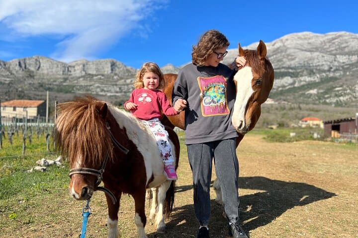 Family Horseback Riding in Konavle: Private Ranch Ride near Dubrovnik photo 5