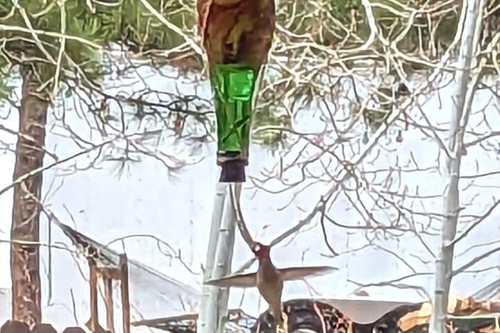 Hydro-Dipped Hummingbird Feeder Workshop in Estes Park