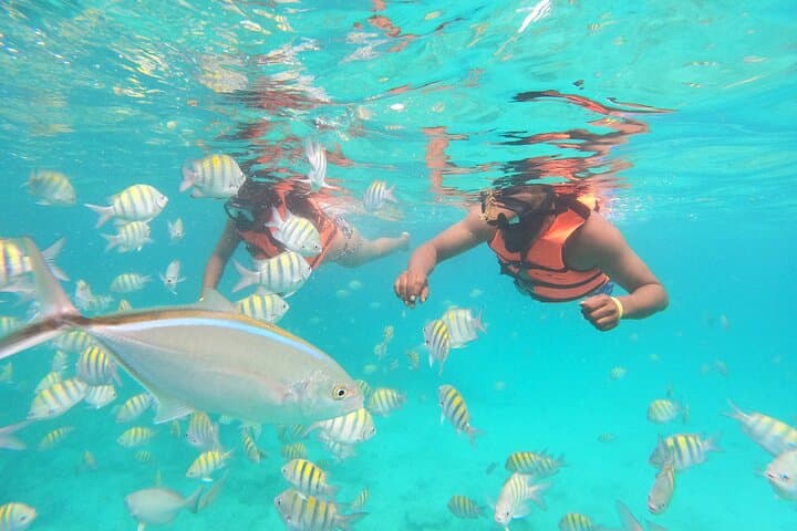 Self-Drive Speedboat and Snorkel at Punta Cana’s Natural Pool photo 5