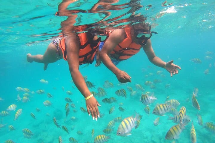 Self-Drive Speedboat and Snorkel at Punta Cana’s Natural Pool photo 2