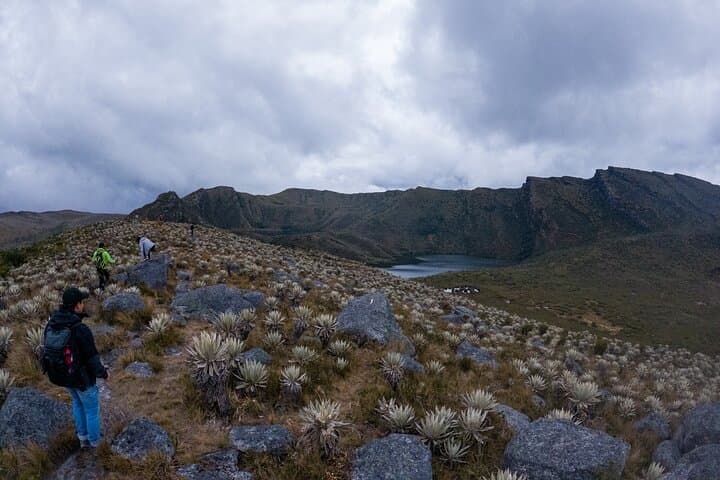 Hiking Chingaza Páramo & Siecha Lagoons: Day Hike from Bogotá photo 4