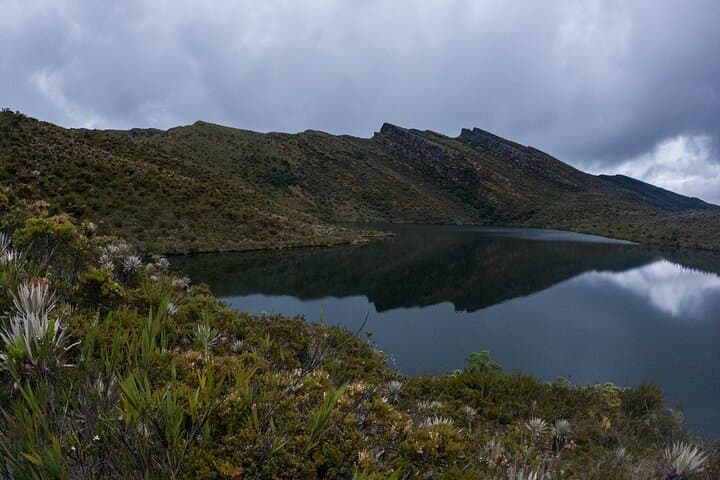 Hiking Chingaza Páramo & Siecha Lagoons: Day Hike from Bogotá photo 6