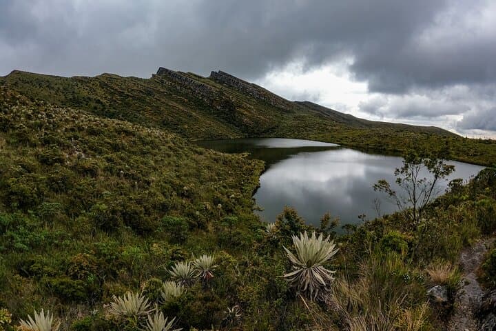 Hiking Chingaza Páramo & Siecha Lagoons: Day Hike from Bogotá
