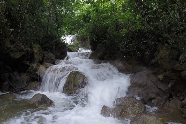 Amber Route & Salto Yanigua Waterfall: El Valle Amber Mines, Tarzan’s Treehouse & Mud Bath photo 3