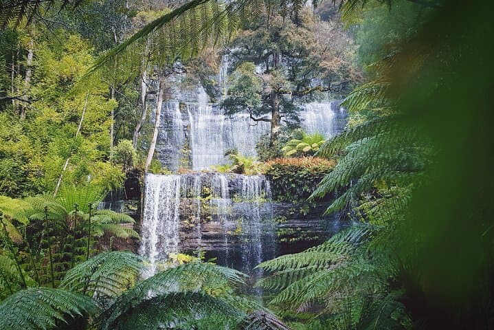 Ultimate 10-Day Guided Tasmania Tour: Cradle Mountain, Freycinet & Tarkine photo 6