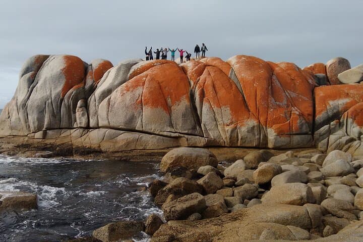7-Day Tasmania Tour: Cradle Mountain, Wineglass Bay & Port Arthur photo 4