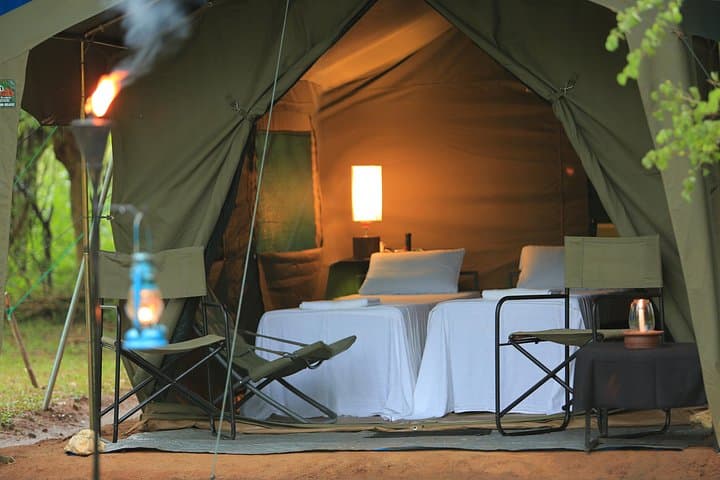 Glamping Safari Bordering Udawalawe National Park: Overnight Tented Camp & Evening Game Drive photo 1