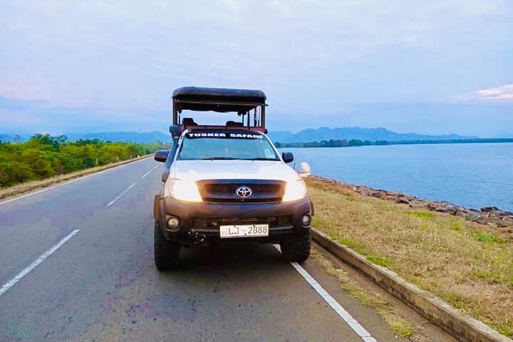 Udawalawe 4-Hour Private Jeep Safari — Elephant & Birdwatching Adventure photo 3