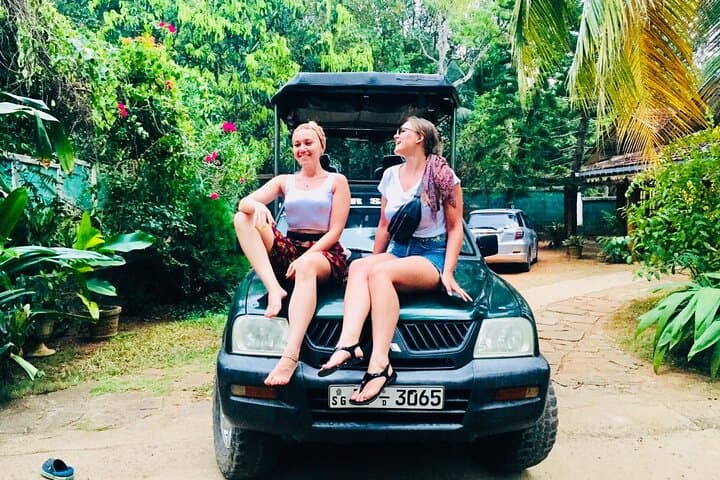 Udawalawe 4-Hour Private Jeep Safari — Elephant & Birdwatching Adventure