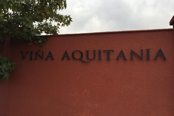 Private Aquitania Winery Tour from San Antonio — Maipo Alto Wine Tasting & Hotel Transfer