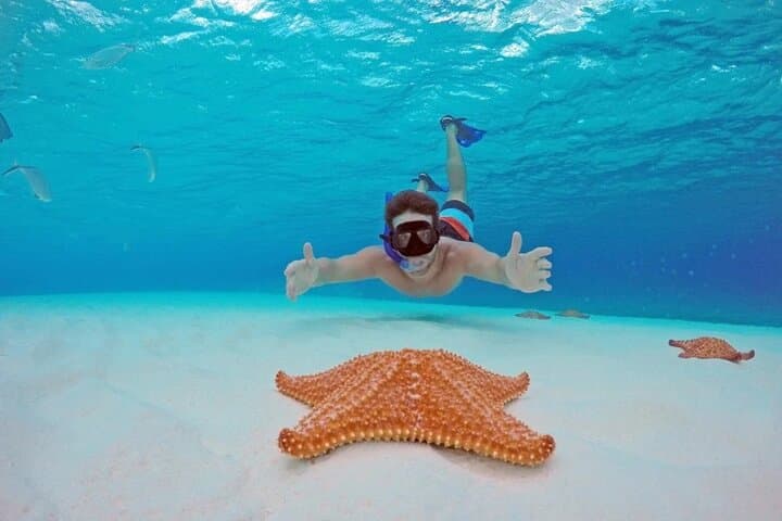 Cozumel Snorkeling: El Cielo Sandbar, Colombia & Palancar Reefs Private Tour