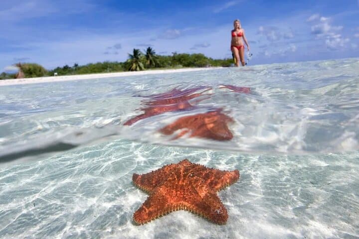 Cozumel Snorkeling: El Cielo Sandbar, Colombia & Palancar Reefs Private Tour photo 2