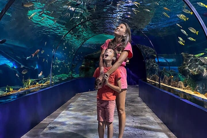 Explore Odysseo Oceanarium Mauritius: Port Louis Aquarium Tickets & Visitor Guide photo 3