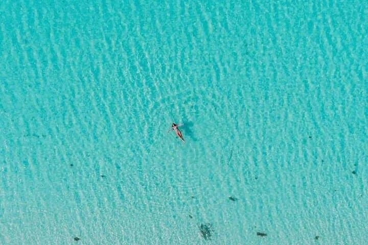 Cozumel El Cielo Sandbar & Palancar-Colombia Reef Private Snorkel Tour photo 6