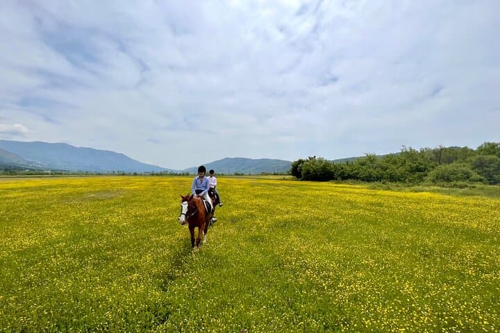 Horseback Riding Across River Ljuta — Konavle Ranch Trail and River Swim