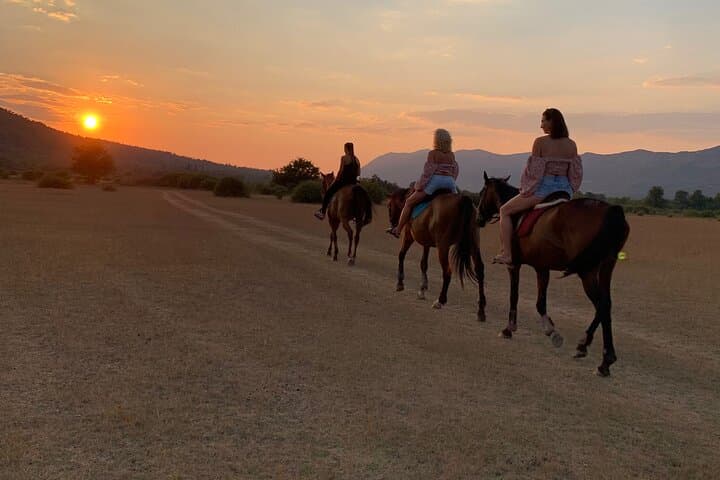 Horseback Riding Across River Ljuta — Konavle Ranch Trail and River Swim photo 4