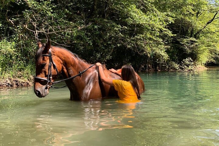 Horseback Riding Across River Ljuta — Konavle Ranch Trail and River Swim photo 6