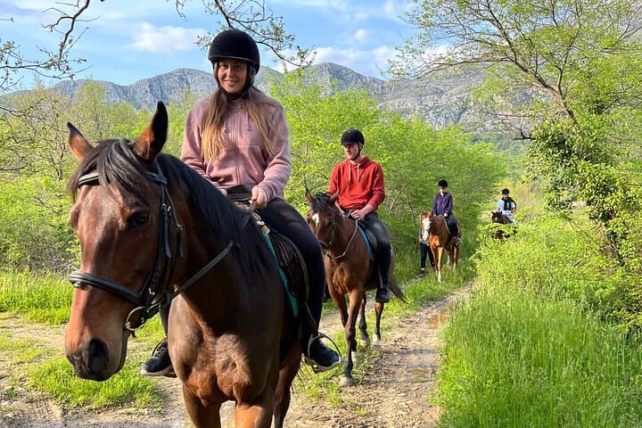 Konavle Horseback Trail Ride from Dubrovnik — Snježnica Saddle Experience photo 2