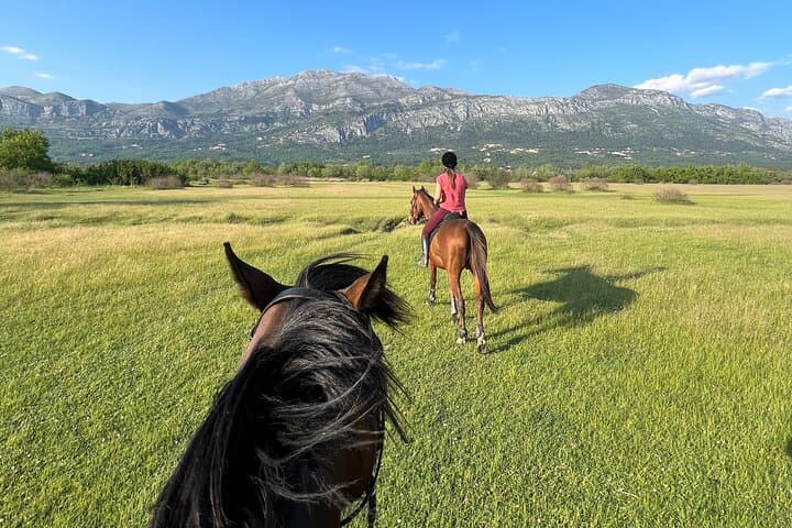 Konavle Horseback Trail Ride from Dubrovnik — Snježnica Saddle Experience photo 3