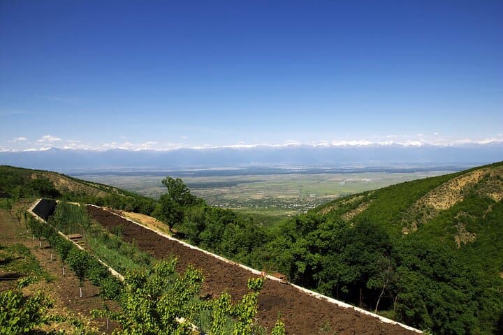 Kakheti & Sighnaghi Day Trip from Tbilisi: Wine, Bodbe Monastery & Local Flavors photo 4
