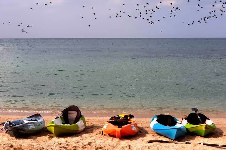 Experience the Magic of Qurum: A Sunset Kayak Adventure photo 4
